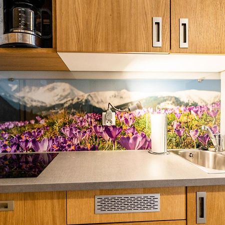 Apartamenty Sun & Snow Resorts Lipki Park Z Sauna Zakopane Ngoại thất bức ảnh